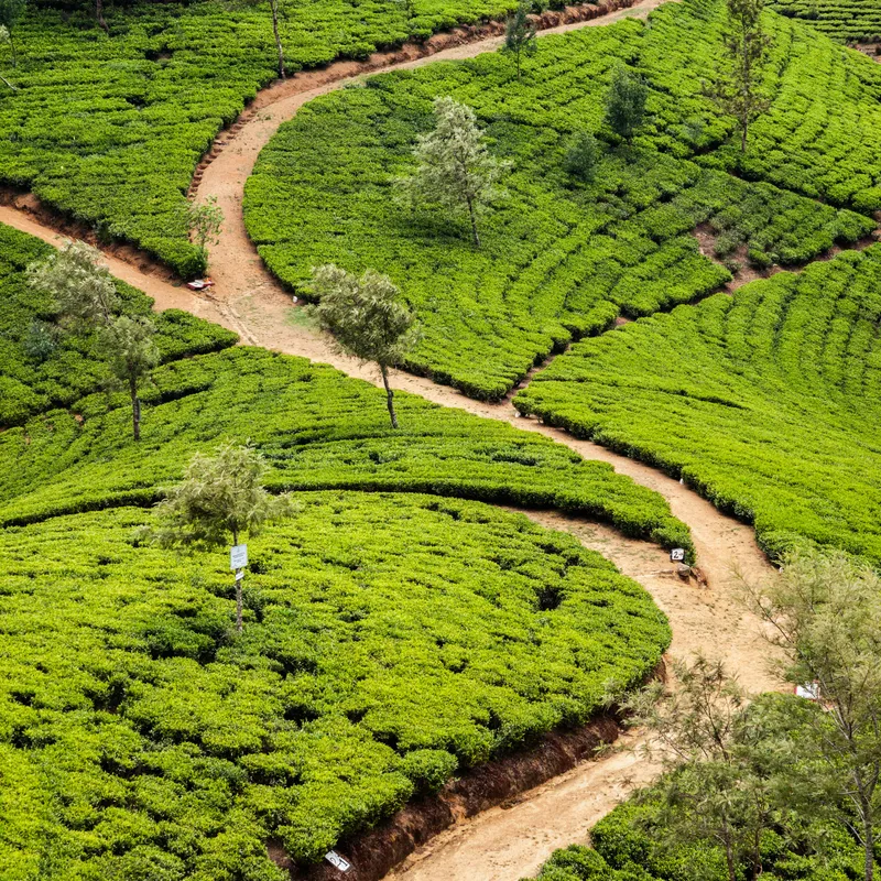 NUWARA ELIYA