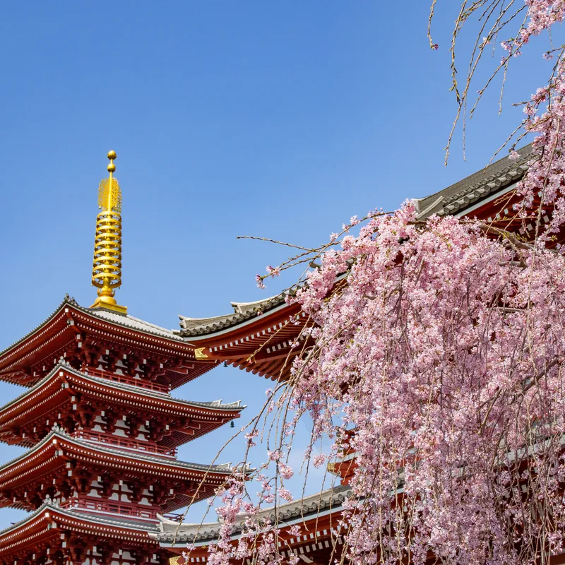 KANNON TEMPLE