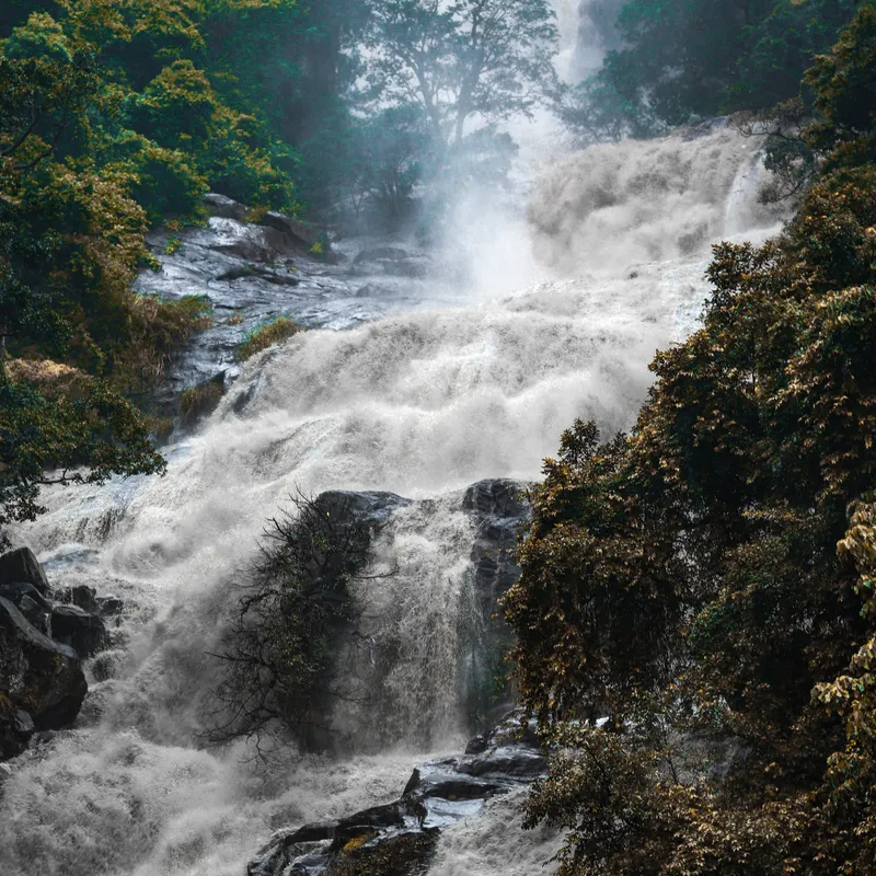 ravana-sri-lanka-rondreis-jongeren-vakantie