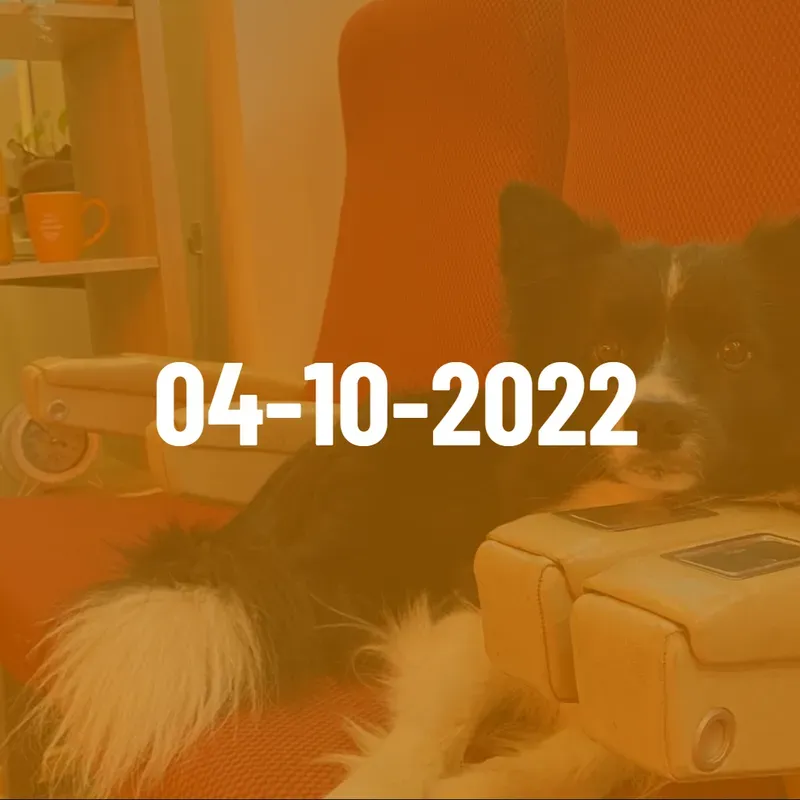 Vacanze per giovani - vacanze estive - viaggio per giovani - vacanze di festa - feste