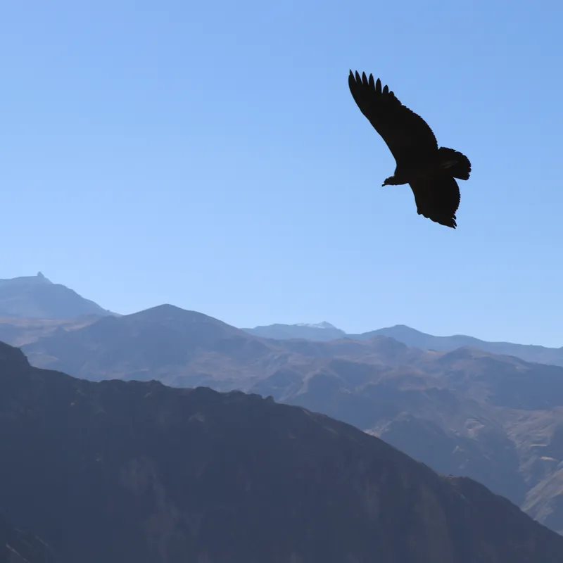 2 DAAGSE COLCA CANYON TREKKING 