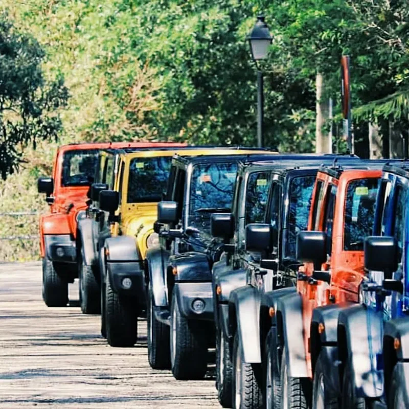 excursie-summer bash-jeeptrip-mallorca-magaluf-jongeren-vakantie