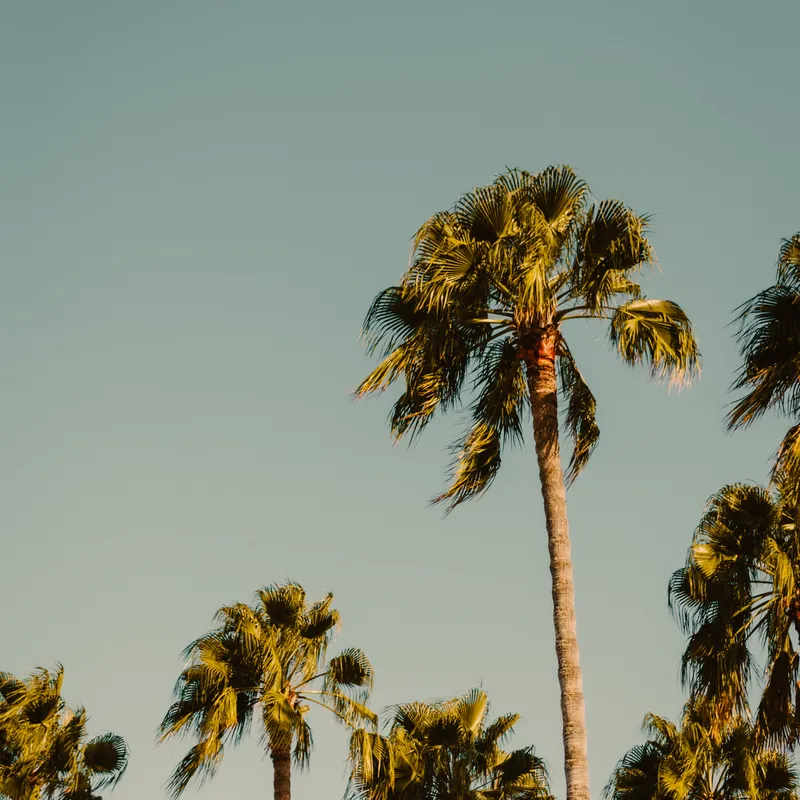 CYPRUS______0105-9b1e00ee-0e06-45e1-835b-e7f1674bb3a9