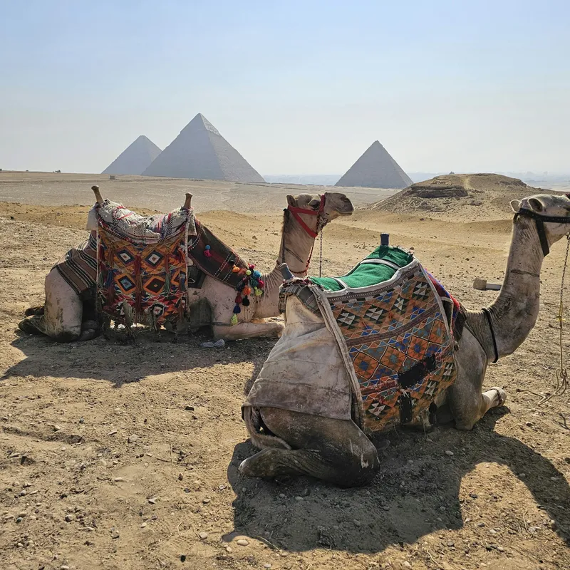 Egypte___Omgeving___Rondreis___Summer_Bash_Jongerenreizen20-ec1f4945-213f-4be4-93c1-ca38ea55902f