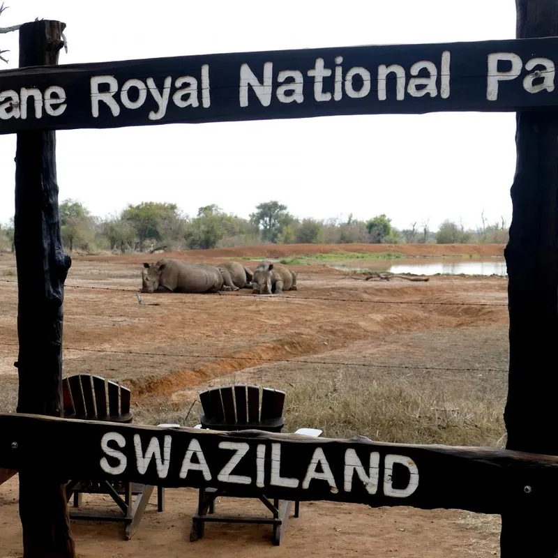 Hlane_national___hike___summer_bash___explore___zuid_afrika-3ee88a0e-0abd-4766-ad54-813d339f3cf9