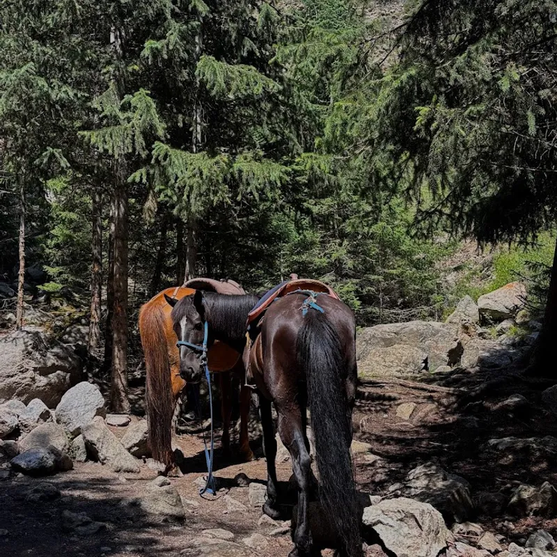 Kirgizie___hike___summer_bash___explore___horse-a009fdc1-2b97-4491-b34d-b55d2cc098f9