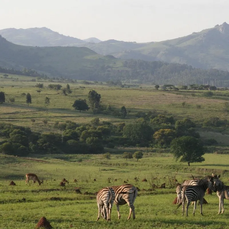 Fietstocht - Mlilwane - Summer Bash - Jongeren reizen - Zuid Afrika
