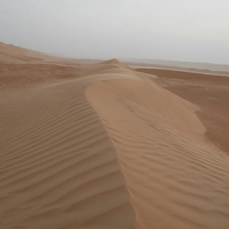 Oman___Rondreis___Summer_Bash_Jongerenreizen24-7d6d8433-d649-4cd9-bd70-a7ba7d0c2039