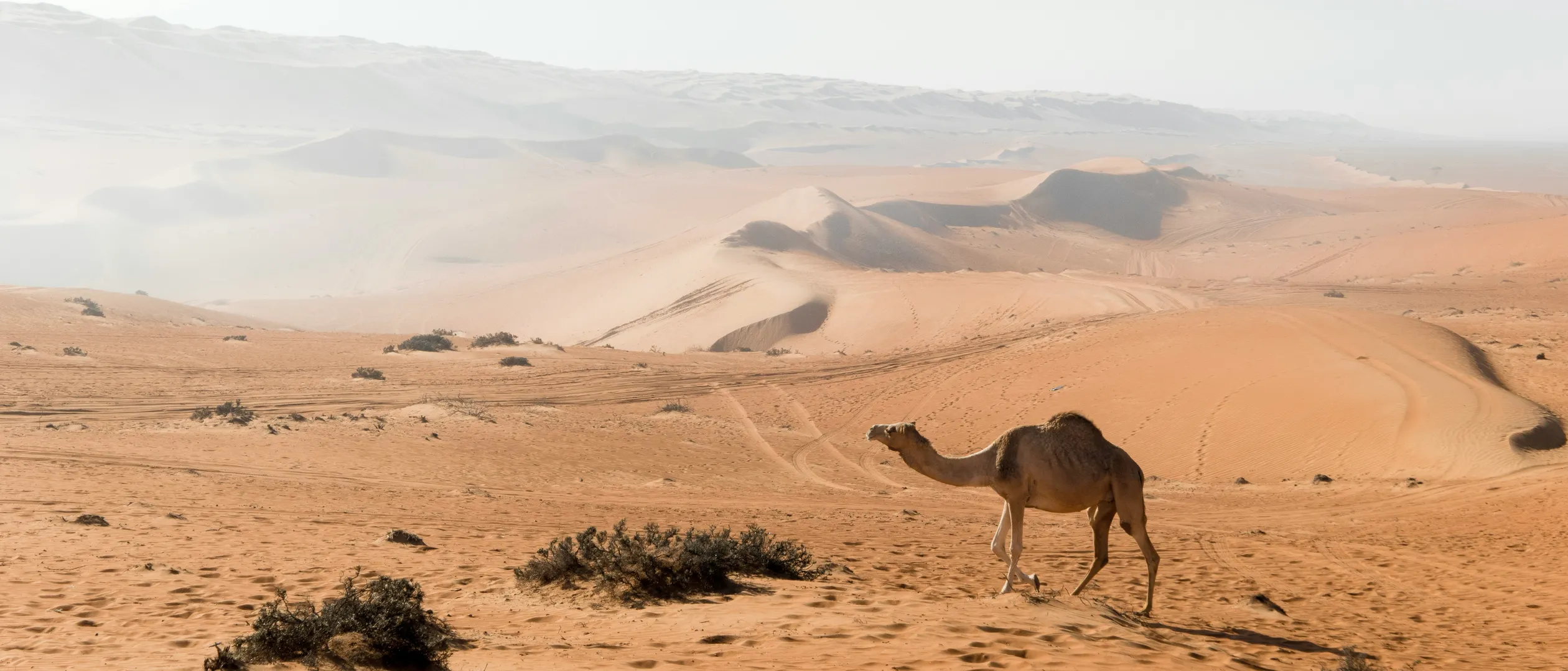 Oman - Rondreis