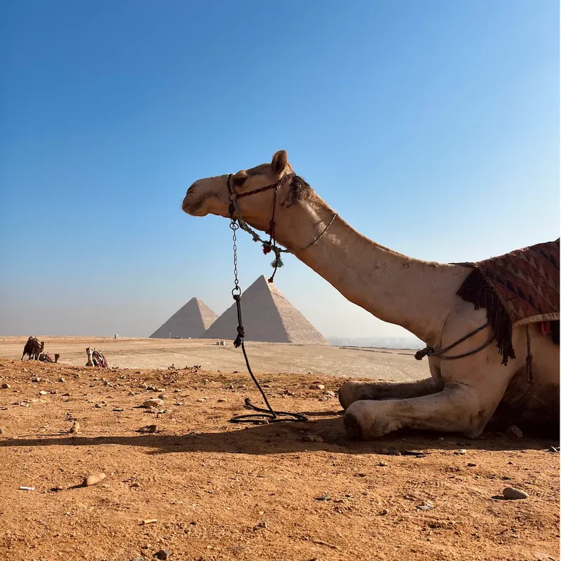 SummerBashRondreis_Egypte_Gyza-80c5bdee-6e80-4691-ba57-6b46dfa0c37a