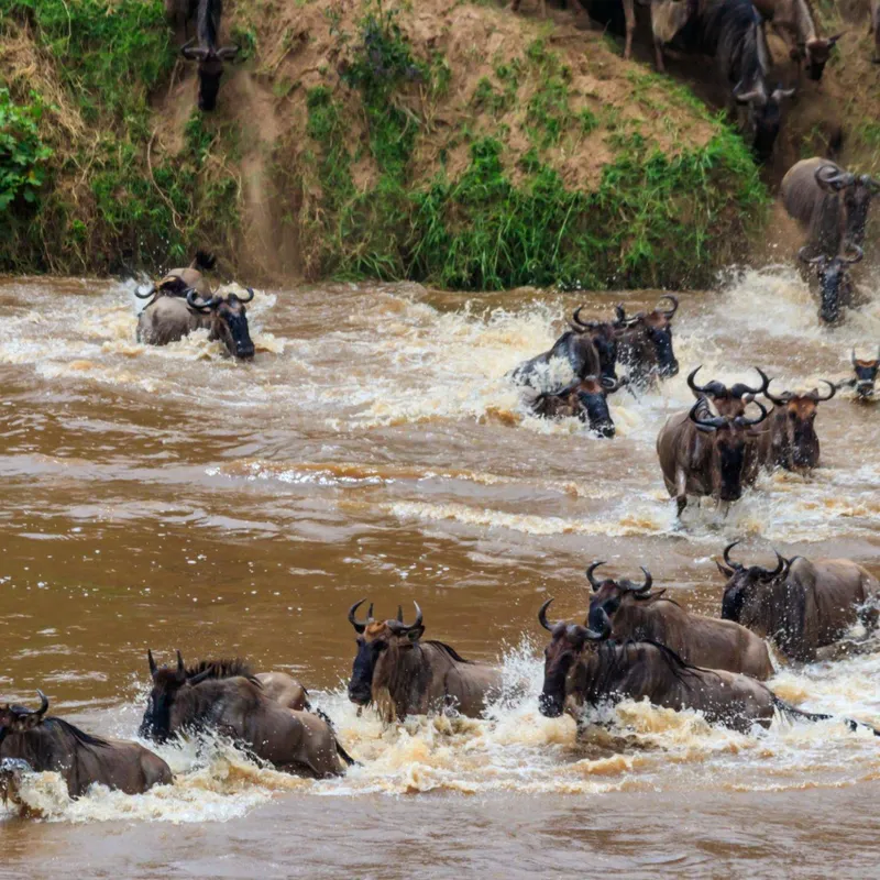 Tanzania - Summer Bash - Jongeren reizen - Rondreis
