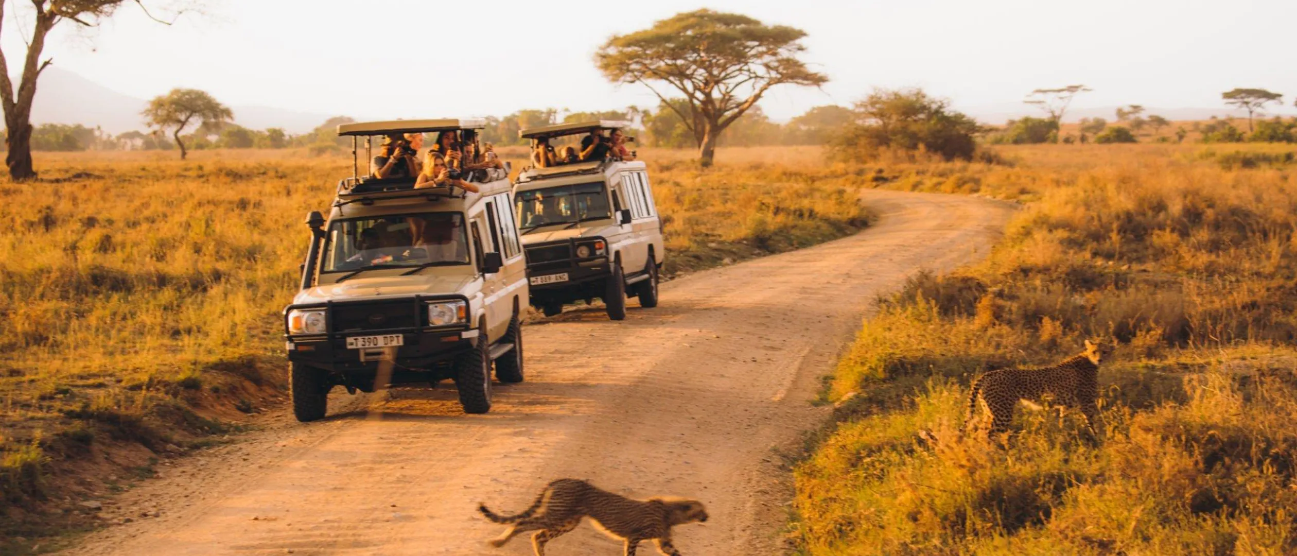 Tanzania - Summer Bash - Jongeren reizen - Rondreis