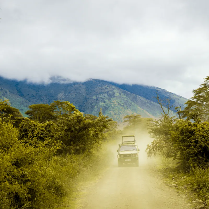 Tanzania - Summer Bash - Jongeren reizen - Rondreis