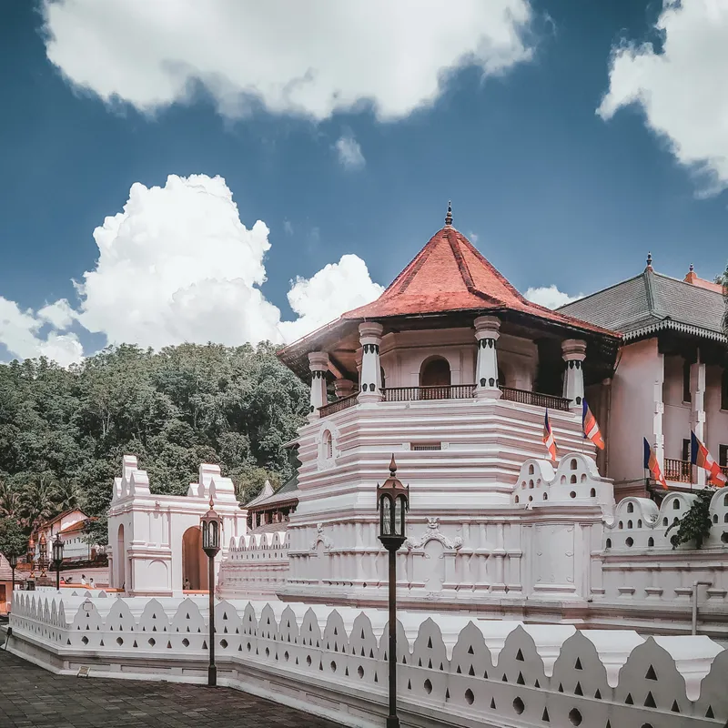 TEMPEL VAN DE TAND