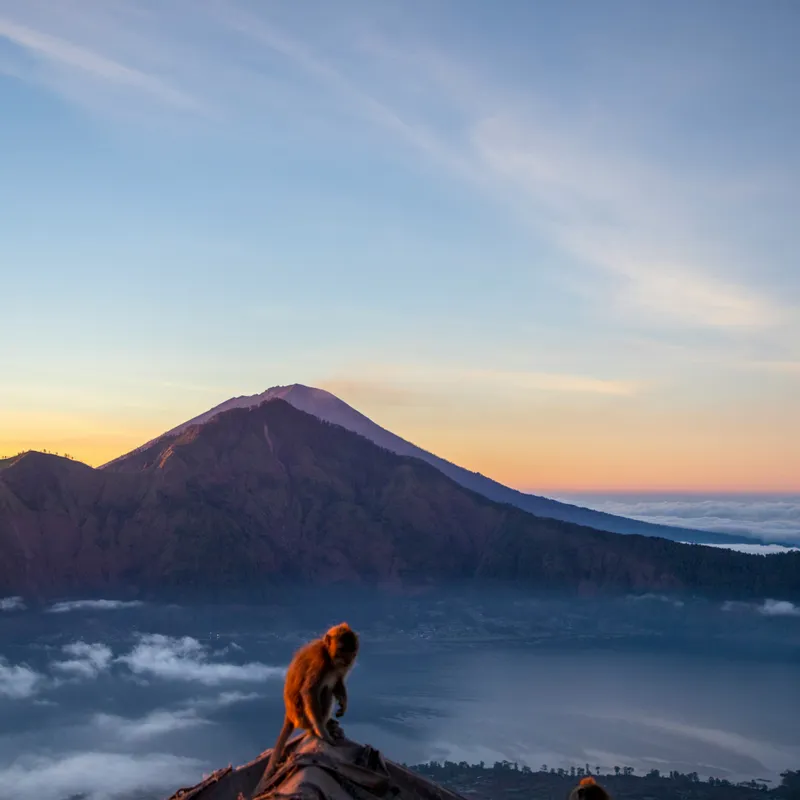 abdelrahman_ismail_tmBYSL3kZcE_unsplash-1295b0d9-1d43-47b8-8311-847905eb61a4