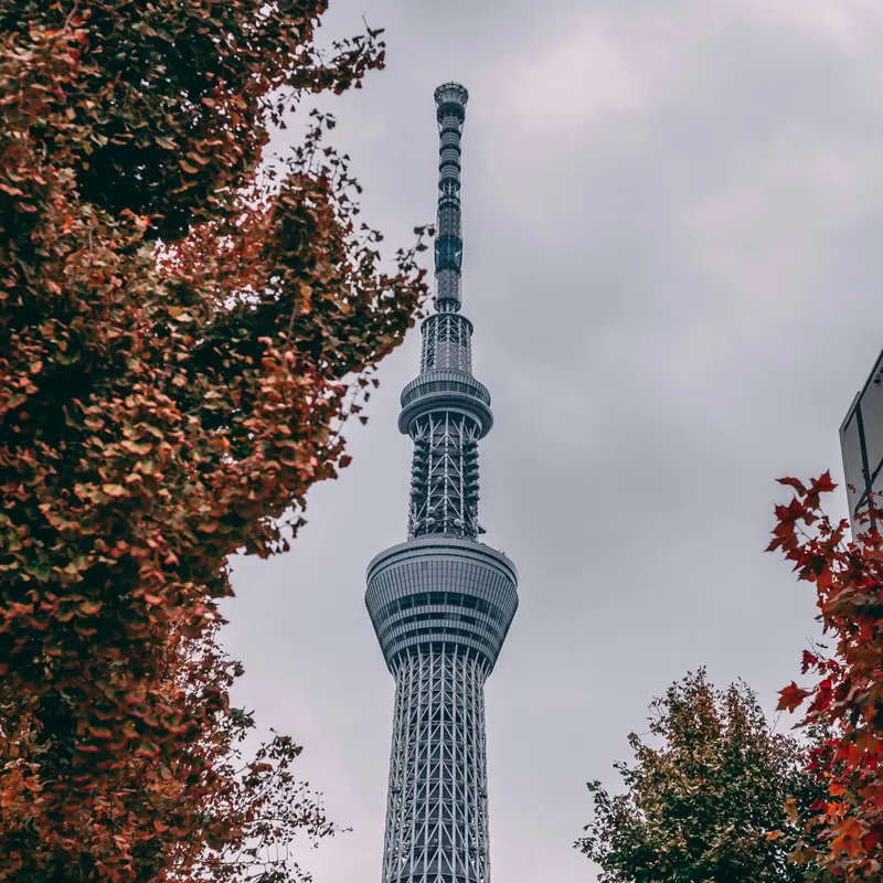 charles_postiaux_bNn_FfGrqRY_unsplash-cd500889-4dcf-42f4-b6aa-9dd46cc1abf8