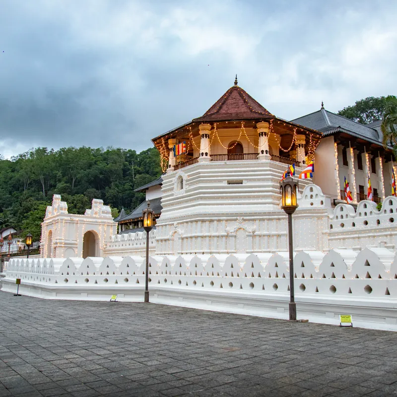 chathura_anuradha_subasinghe_40uQmE9Zq8g_unsplash-a38c0808-9e28-4e19-9fc7-96f1ff2b6ba9