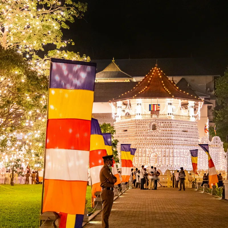 chathura_anuradha_subasinghe_OFw_IQRhNZ4_unsplash-5cbf7ec2-9b5f-445b-b868-97609411b18e