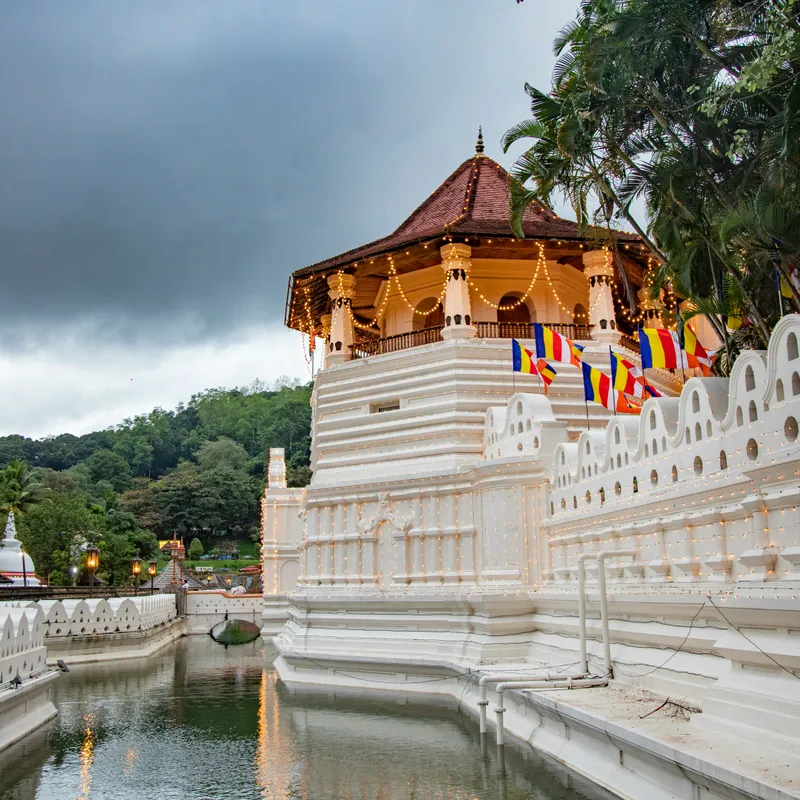 chathura_anuradha_subasinghe_isdvqf04MDk_unsplash-3d0b91b2-66a7-4d87-888f-8fb57902641f