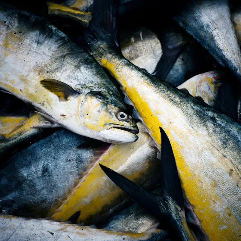 curated_lifestyle_cHHfEC3h1Jw_unsplash-c46ef9d3-69dd-40c8-88ad-0e8f844c3547