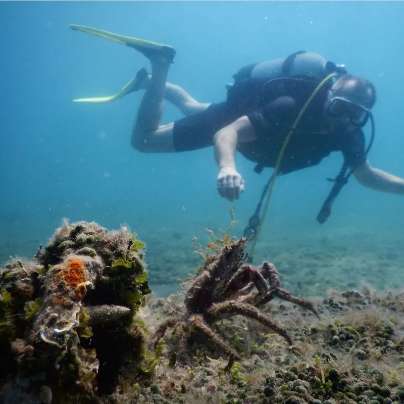 DUIKEN