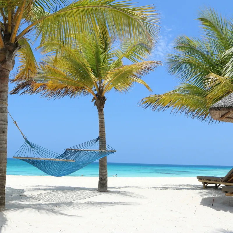Zanzibar - Summer Bash - Jongeren reizen - Rondreis