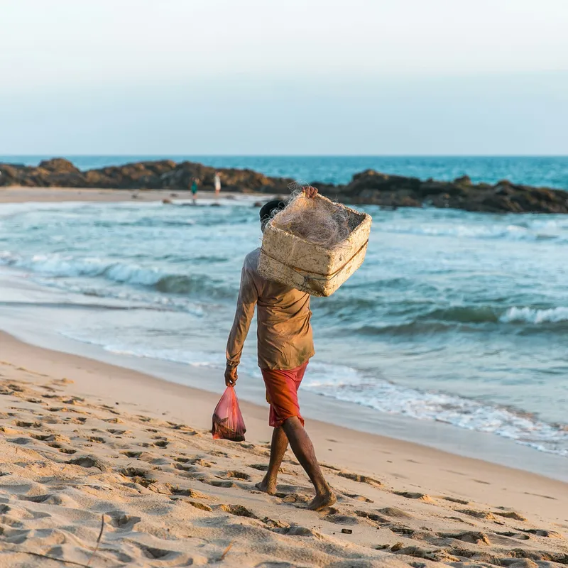 surfen-sri-lanka-rondreis-jongeren-vakantie
