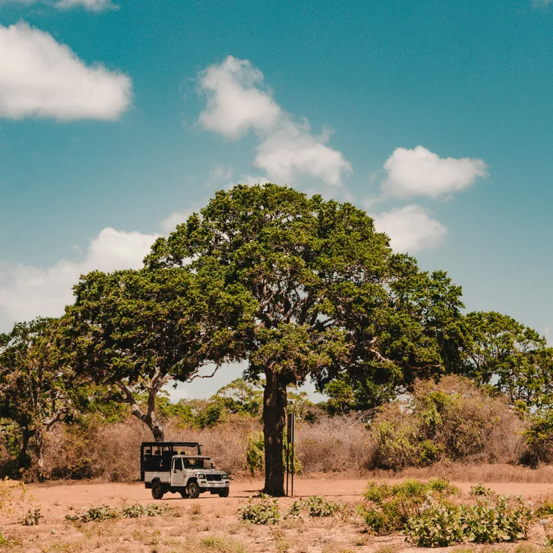 fergus_so_c33FdqxHKxE_unsplash-f95cee70-ccc8-4e33-9d02-c6f552bc4e94
