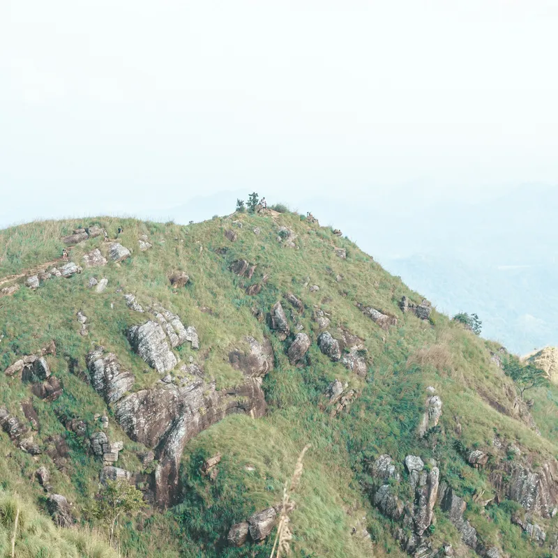 filiz_elaerts_fzigpYKHxBg_unsplash-60a08efa-c527-4837-82f6-43632abf0f5f