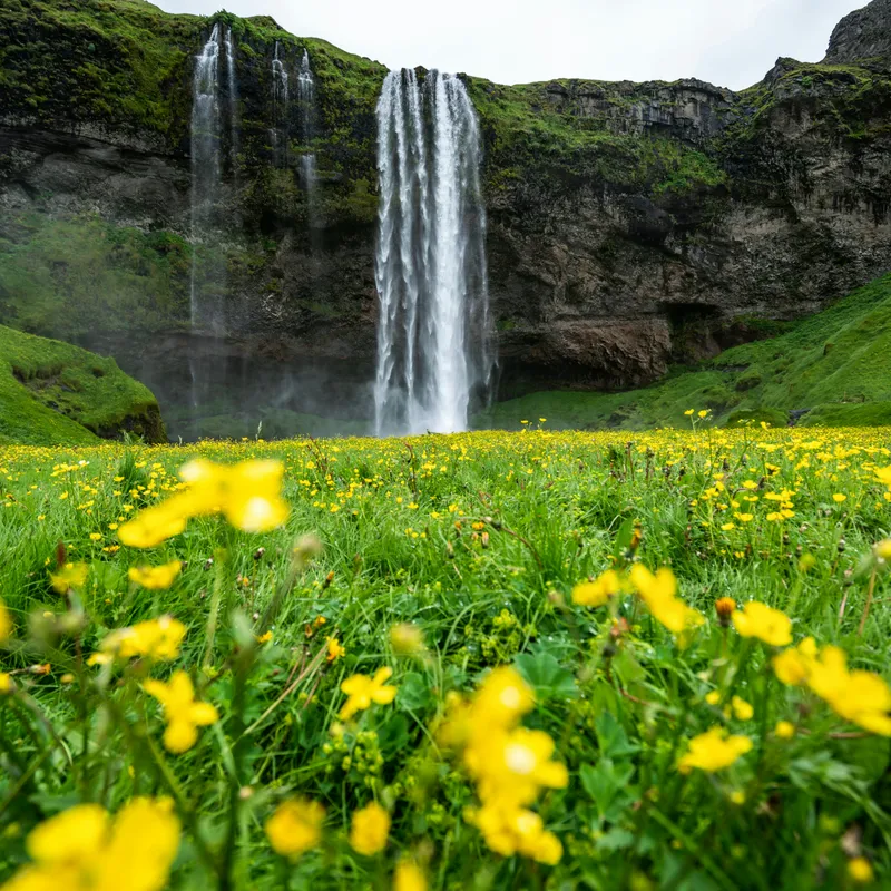 getty_images_90CBar10cTg_unsplash-d770e72f-1114-4126-abd3-a11c4cd55895