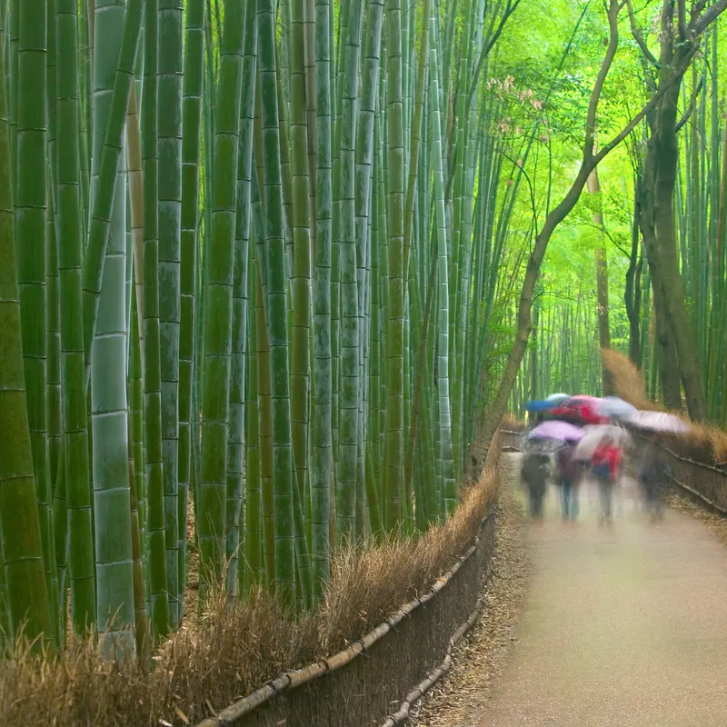 bestemmingsinfo-japan-jongeren-vakantie