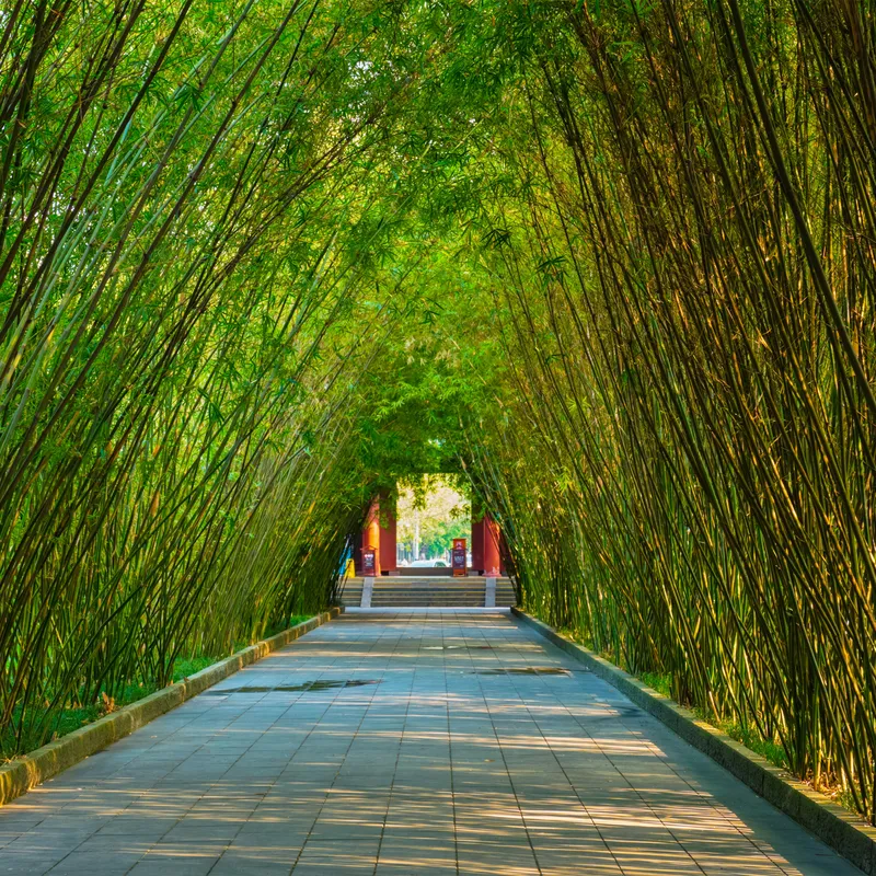 getty_images_jM3jh_w7DSk_unsplash-614fcd4a-a657-4aec-81b8-5882102b330a
