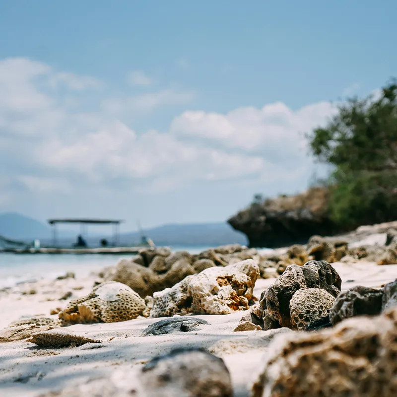 jannes_glas_shhklEpCc4k_unsplash-e26c7323-a517-4216-95d7-59a741d0f574