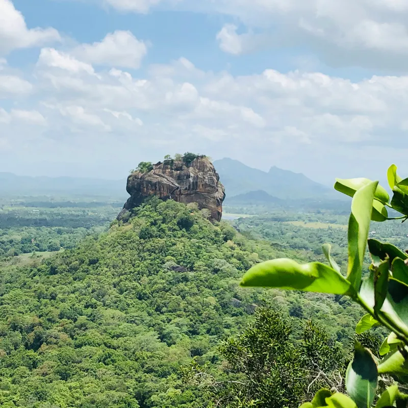 kelum_chathuranga_9_kgWv7UlYo_unsplash-2075304d-2d87-48b6-b3c0-8404d77efb82