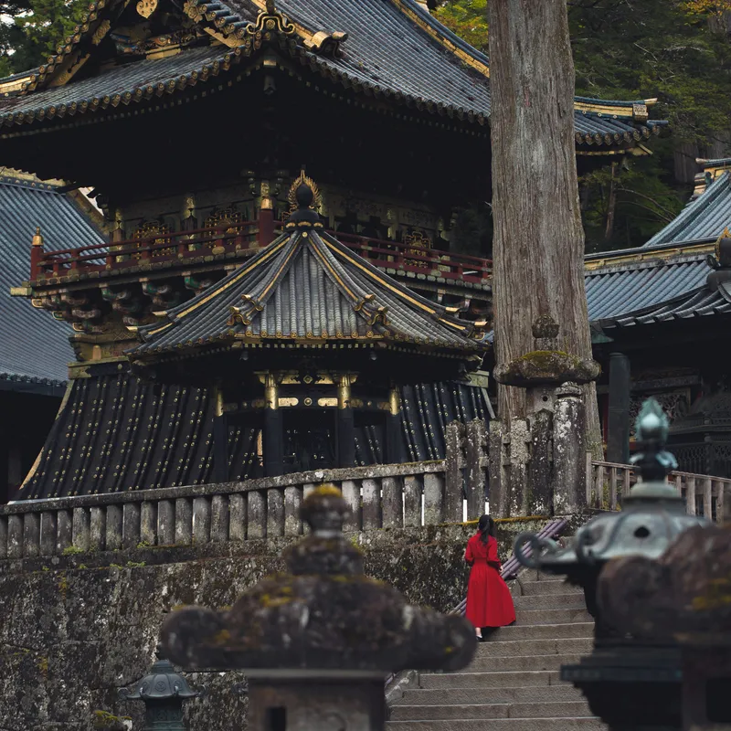 nguyen_tp_hai_zTcicmBkjqU_unsplash-5023939e-3b07-4d5f-92ca-435ef730f70e