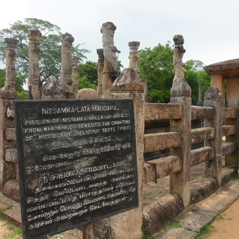 nisal_masitha_bandara_fylSIckpwhE_unsplash-691398ee-4c93-44fb-ac33-acea4cafc237