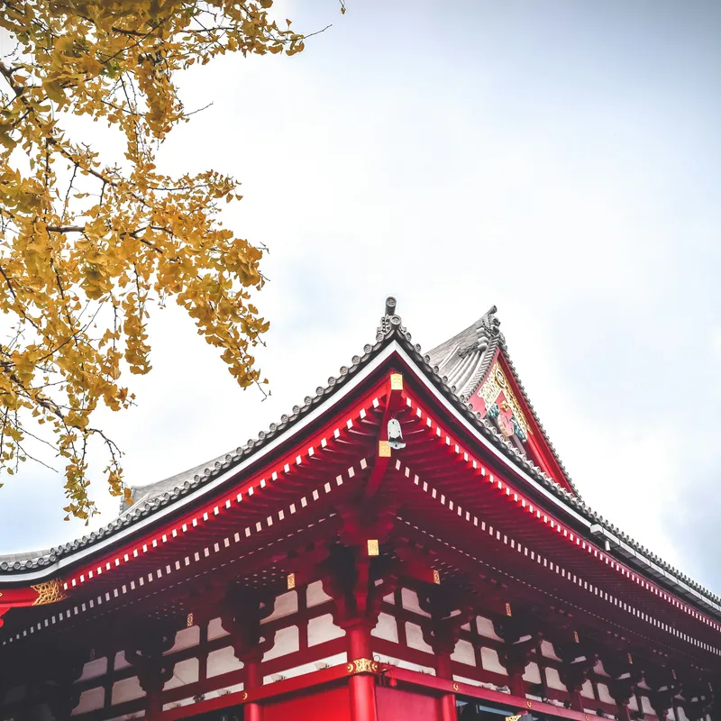 nopparuj_lamaikul__nwDUzEJDk0_unsplash-1dde10f1-8773-4569-a72c-ebcda0da98bd