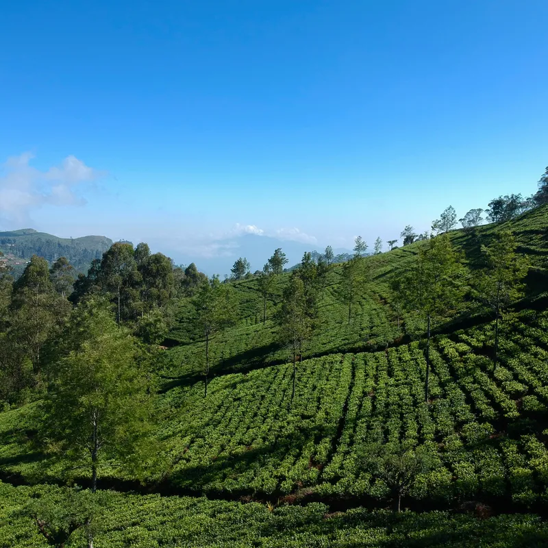 petr_sevcovic_XRv9FMY3qGU_unsplash-86fbc7f5-f452-4d0a-bd4c-fa0acbfabaa9