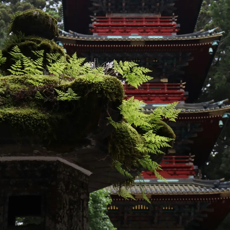 rafael_otaki_xeVovI3j2Zk_unsplash-d237ad7a-a96e-426e-a798-281cacb2339b