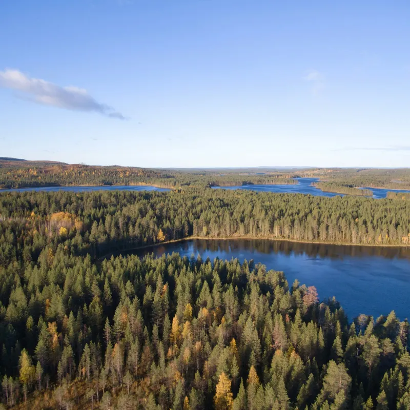 reisrebbels - zweden - kanotrekking - zomerkamp
