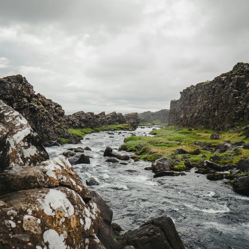 ronan_furuta_AUe1m1yWFnk_unsplash-d1632d26-156d-49e0-bfb2-d45cb1dda249