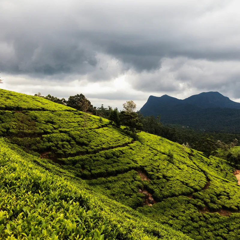 rowan_heuvel_Fh4CAo8ba6c_unsplash-14e2a1ed-8e56-44f5-aeda-65e57efdb21a