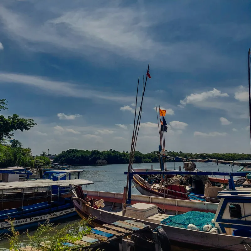 samithu_siriwardana_qVpNurj5YhQ_unsplash-6ca97da6-3200-4790-8d34-471af43d52fc