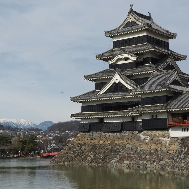 shino_nakamura_L394FeRbM8I_unsplash-38fea854-8f05-4b8a-8a3b-d5dfed96e7dc