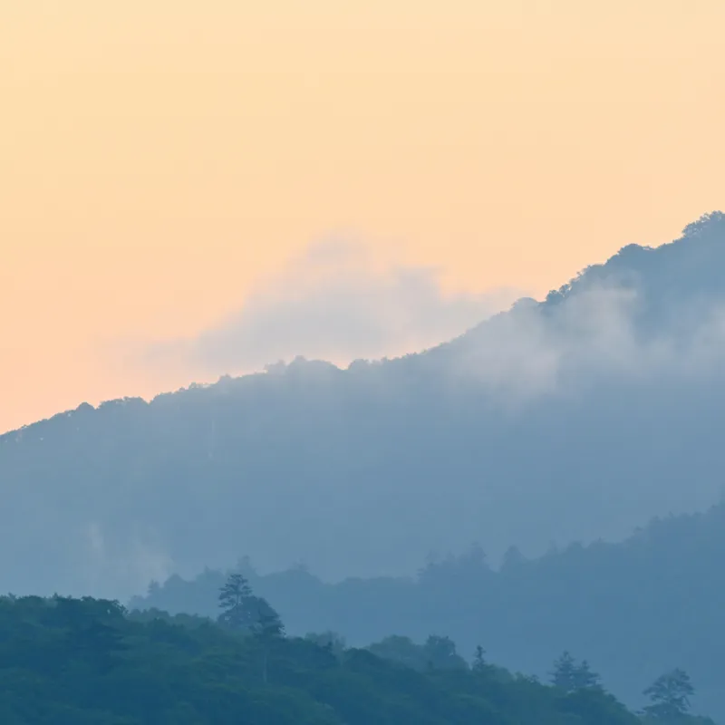 tomoki_ozawa_y3CqURCBn6c_unsplash-39780edd-f4bc-4246-b225-873243e5c7b5