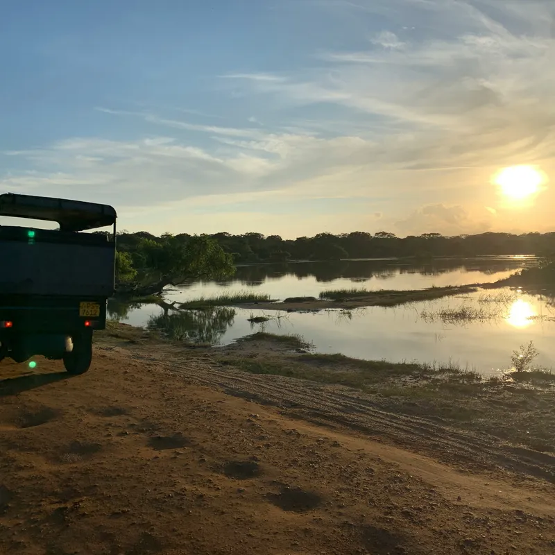 Yala Safari - Jeep Tour - Explore - Sri Lanka - Summer Bash Jongerenreizen