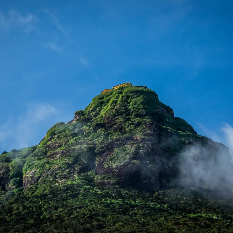 vlada__HWLDHkn8fI_unsplash-5e4b6fcb-fdc3-4f49-8e1f-0323940a5d59