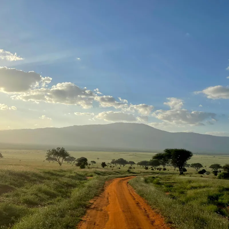Tanzania - Summer Bash - Jongeren reizen - Rondreis